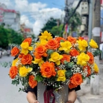 Giới Thiệu