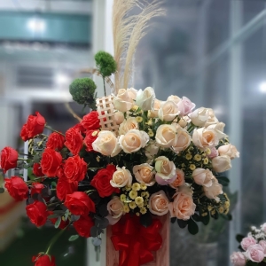 Giới Thiệu