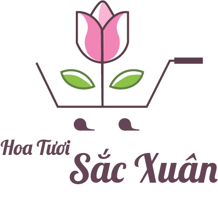 Hoa Tươi New Day - Hoa Tươi Biên Hòa