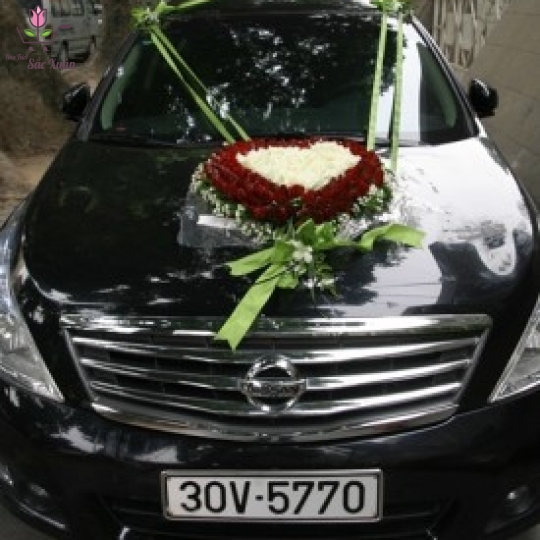 MẪU XE HOA 5 