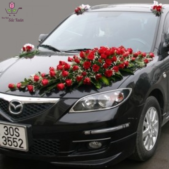 MẪU XE HOA 6 