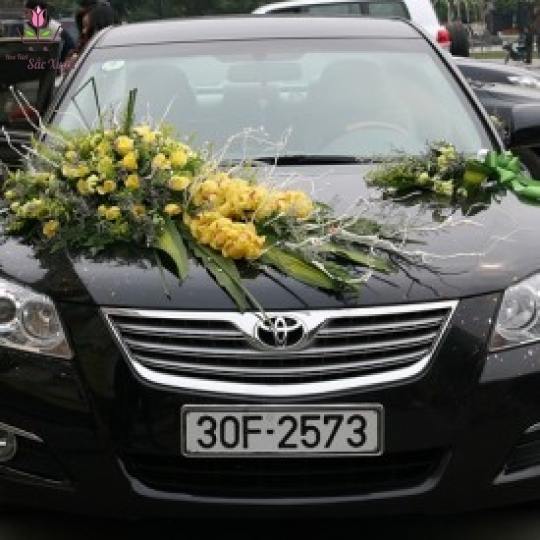 MẪU XE HOA 2