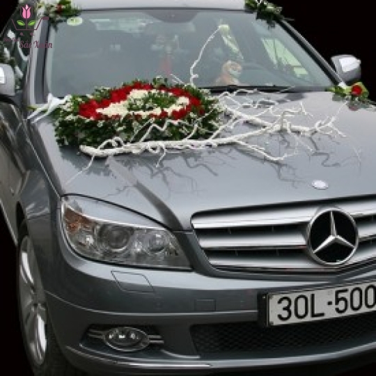 MẪU XE HOA 1 